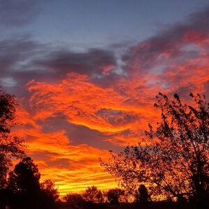 Don't like the Price, Send me an Offer!!!